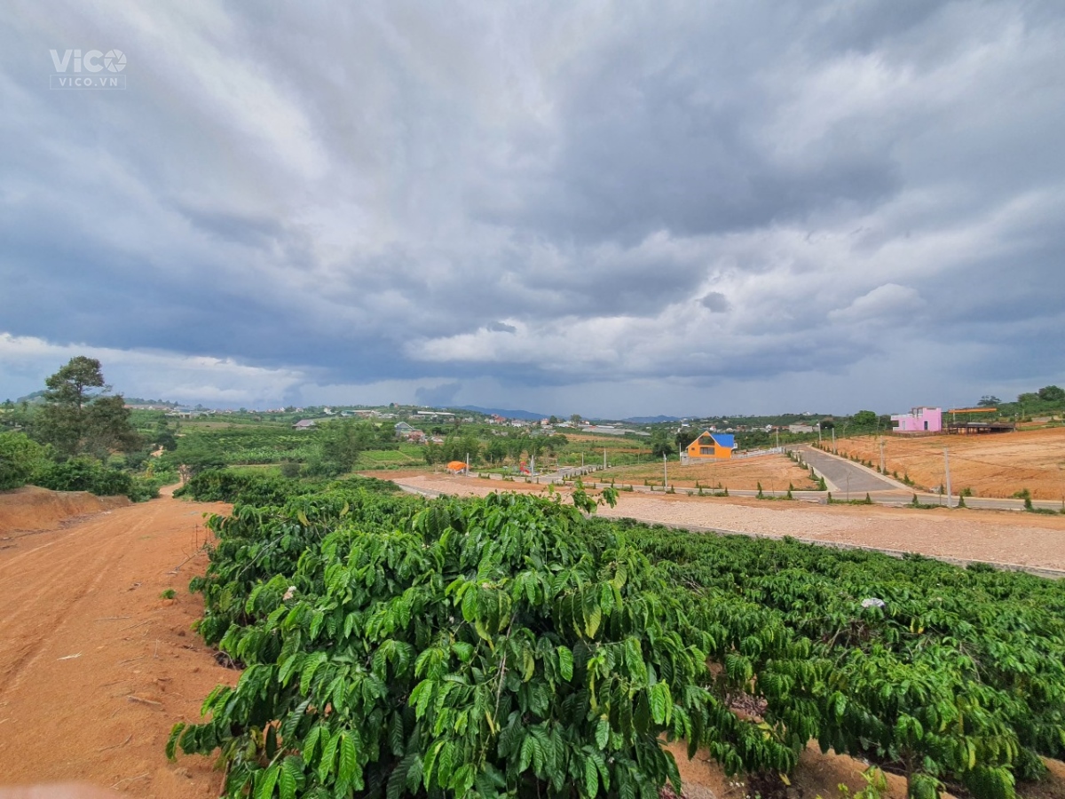 CHÍNH CHỦ CẦN BÁN GẤP ĐẤT MẶT HỒ ĐỒNG QUANG, TIÊN DƯỢC, SÓC SƠN, HÀ NỘI, 7500M, GIÁ 1,5 TR/1M, Ô TÔ