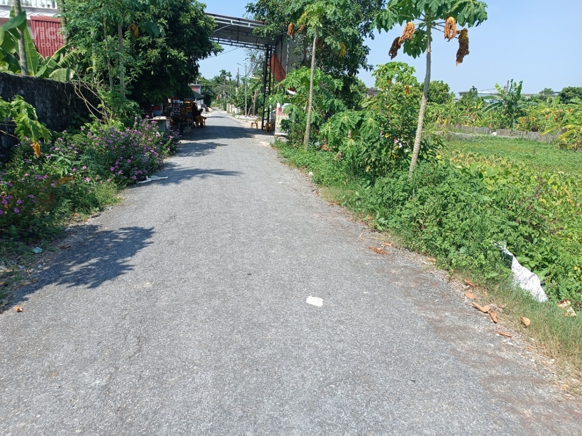 mặt đường nhựa vọng hải hưng đạo Dương Kinh HP 1.62 tỷ