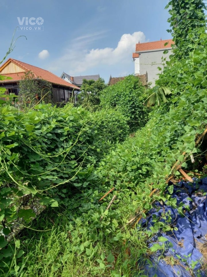 BÁN ĐẤT ĐÔNG DƯ, GIA LÂM, 478 M2, 15.5 TỶ