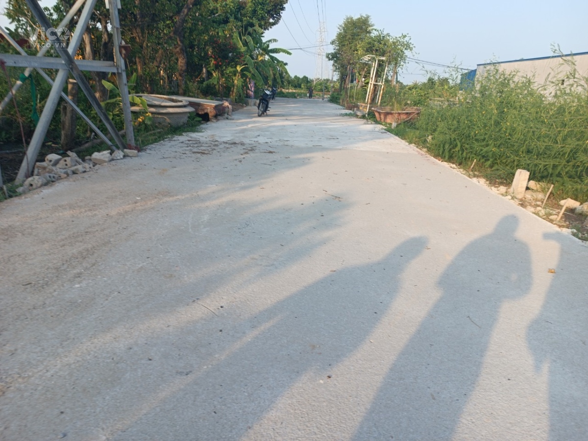 TDP đề thám Minh Đức Đồ Sơn HP .980 tr