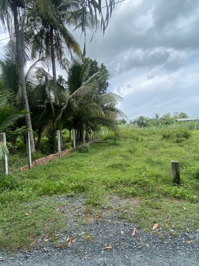 ĐẤT TAQAY NINH THỔ CƯ TẠI GIA LỘC TRÃNG BÀNG