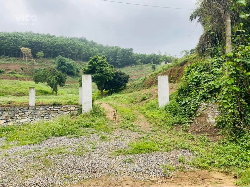 ĐẤT THUỘC THỊ TRẤN LƯƠNG SƠN, SIÊU ĐẸP LẠI CÒN SIÊU RẺ... GIÁ 850K/M ĐƯỜNG 6M