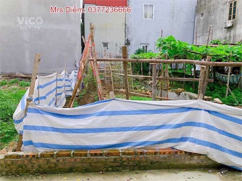 Cần bán nhanh 64.3m đất đẹp, giá rẻ tại Trung Tâm Đản Dị, Đông Anh. Giá thương lượng