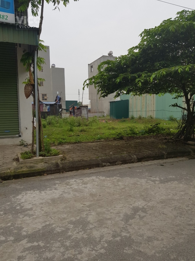 Cần bán 118m2 đất chính chủ tại Phượng Cách Quốc Oai mặt đường ô tô tải 26t/m .