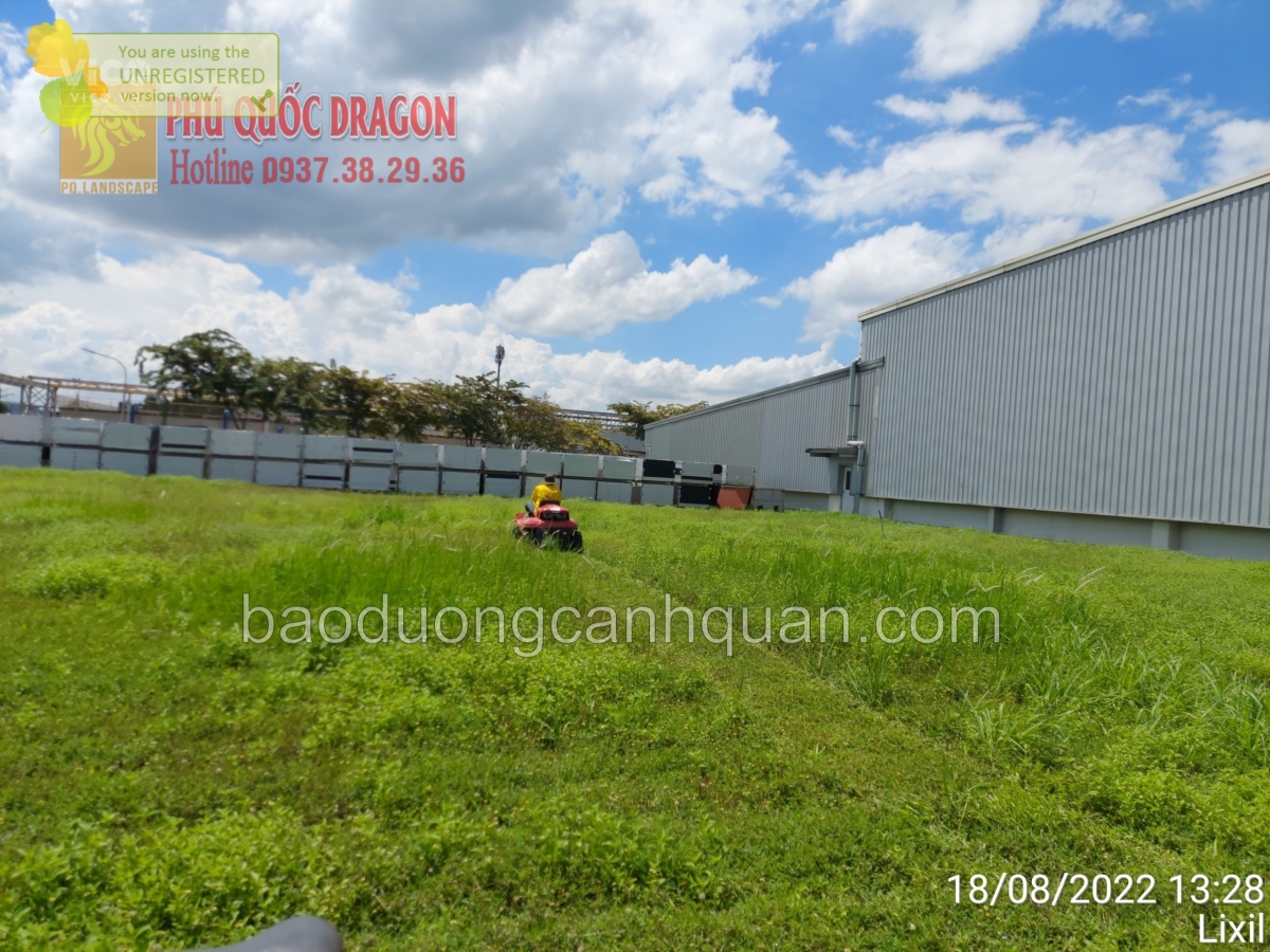 Cắt cỏ, phát hoang đất dự án ở Đồng Nai, HCM, BRVT