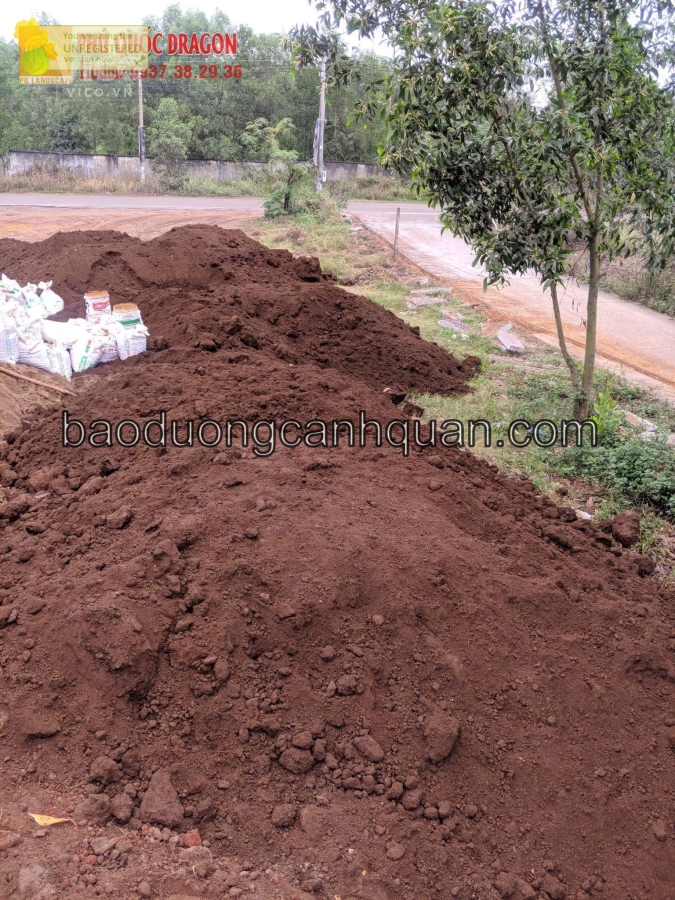 Cung cấp đất trồng cây, trồng hoa TPHCM, Đồng Nai