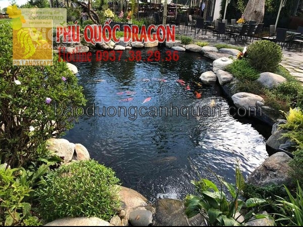 Thời gian thiết kế thi công Hồ cá koi phong thủy