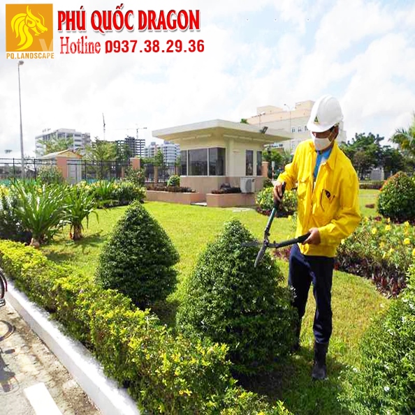 Công ty cây xanh chăm sóc cảnh quan nhà máy