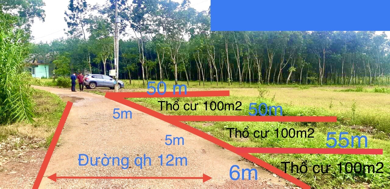 Đất nền đầu tư tại bình phước