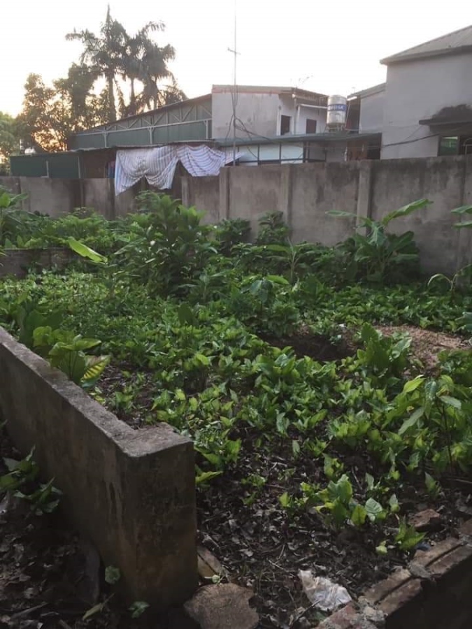 BÁN ĐẤT BỞ TÂY SÔNG NHUỆ,ĐẤT NỞ HẬU,SỔ ĐỎ ĐẸP,NHỈNH 4 TỶ,56M