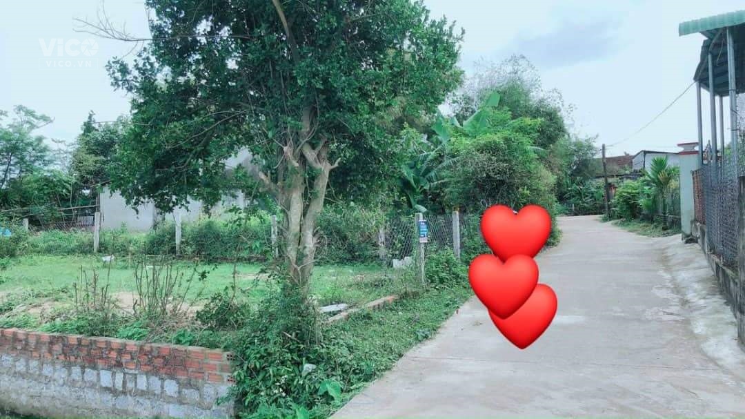 Đất Chính Chủ Siêu Đẹp, Siêu Rẻ Chỉ 530 triệu tại Phước Hiệp Tuy Phước Bình Định