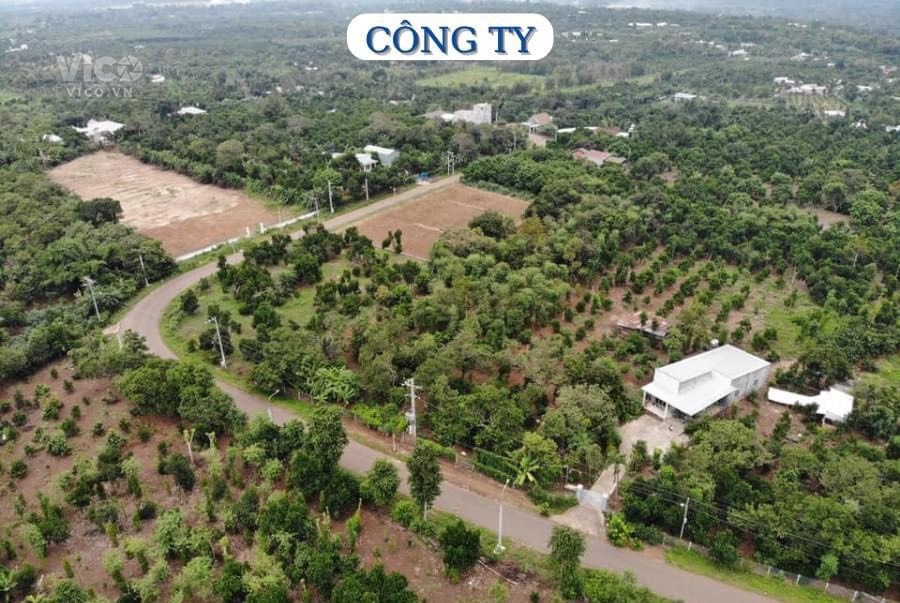 Sở Hữu Ngay Lô Đất Đẹp Tại Xã Lộc Hưng, Huyện Lộc Ninh, Bình Phước