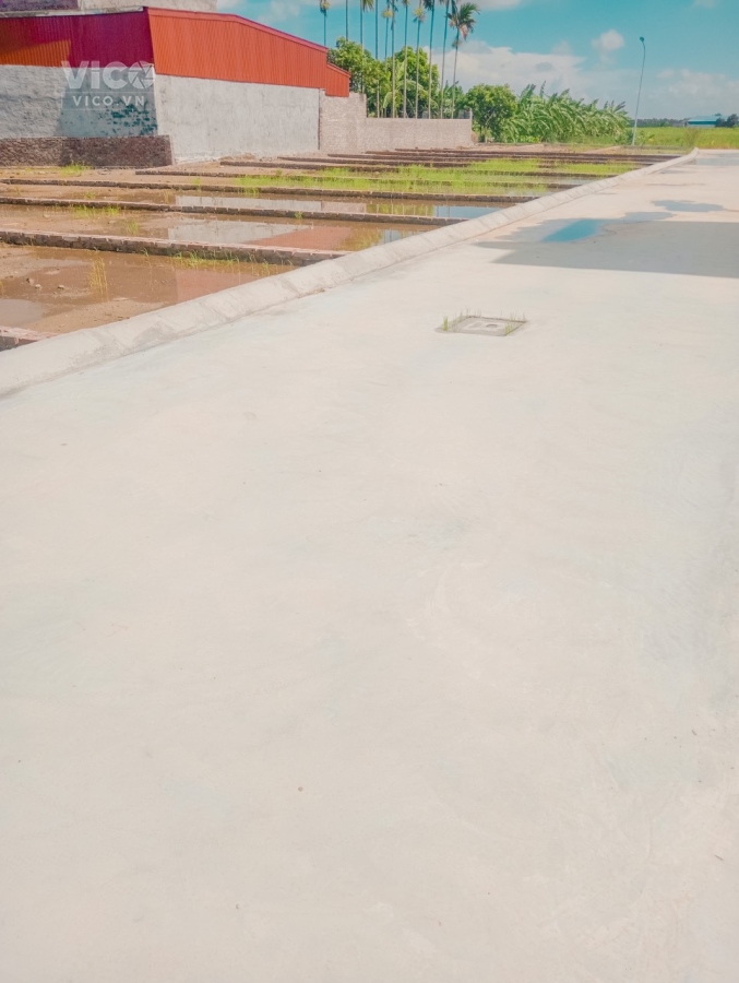 Chuẩn bị mở bán ô đất gần ngay trung tâm thương mại Mỹ Đức An Lão Hải Phòng.