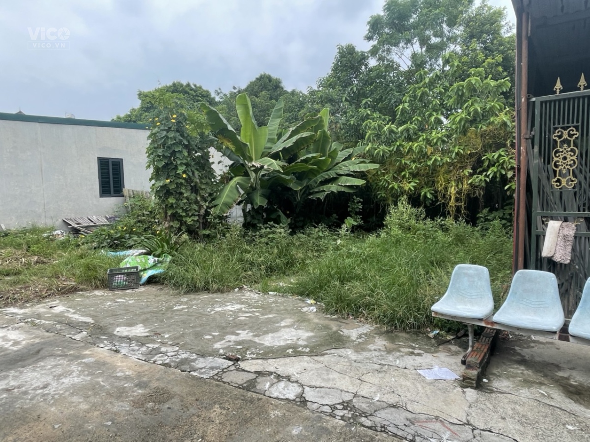 Chính chủ không sử dụng cần bán 60m2 đồi thông Quán Tỉnh Uy Nỗ Đông Anh Hà Nội . Đất theo