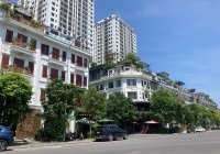 Bán đất PHÂN LÔ 100m2 TĐC Giang Biên, Long Biên VỈA HÈ KINH DOANH Ô TÔ TRÁNH 11.5tỷ.