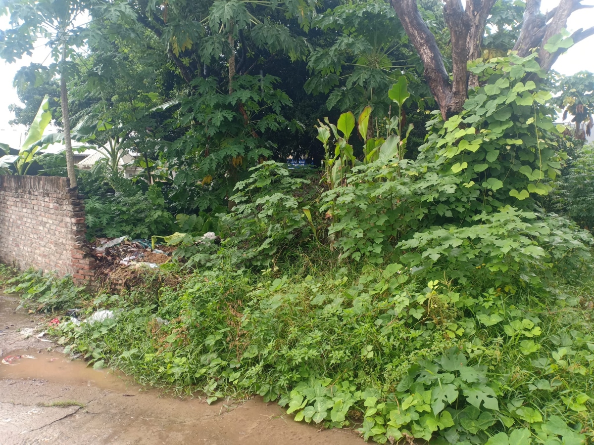 Bán Đất Mai Lâm, 75m2, MT 7.5m, chỉ 4.7 tỷ, Đông Anh.