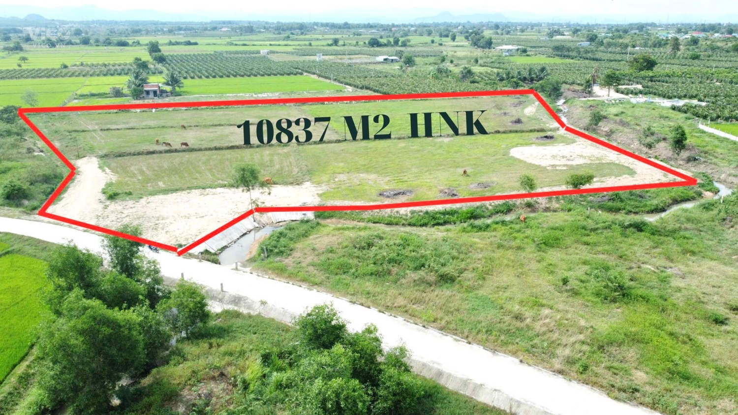 0933239353_ 1,1 Ha , Hàm Chính Giá chỉ 350 Tr/ Sào / 2 Mặt Giáp Kênh Nước