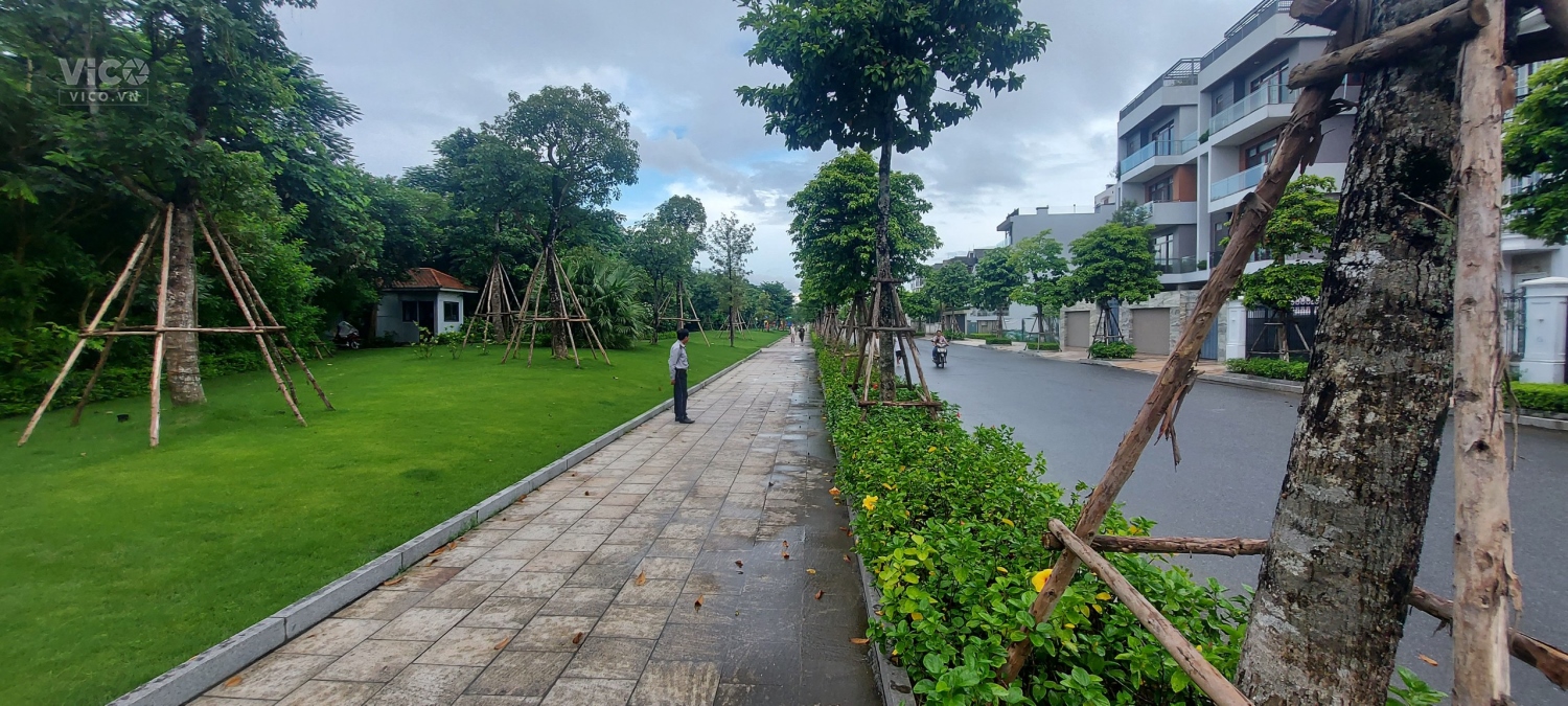 Bán 150m2 Đất ĐẤU GIÁ phố Thạch Bàn, Long Biên VỈA HÈ RỘNG KINH DOANH 3 LÀN Ô TÔ.