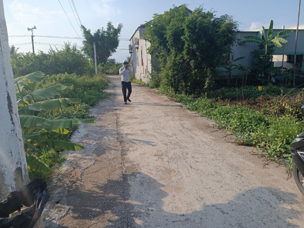 ngõ 76 vũ ngọc toàn tân thành Dương Kinh HP . giá 1,25 tỷ