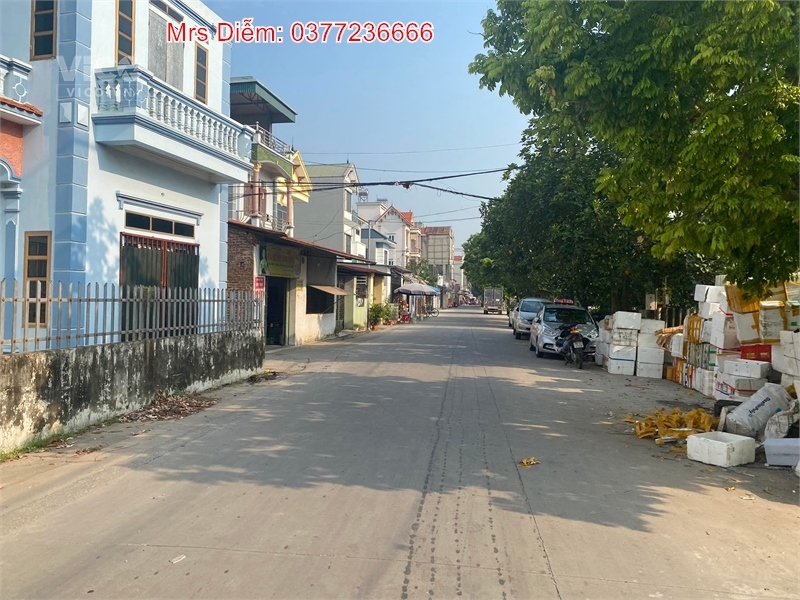 Cần bán 132m đất bìa Đông, Trung Oai, Tiên Dương. Giá hơn 60 triệu