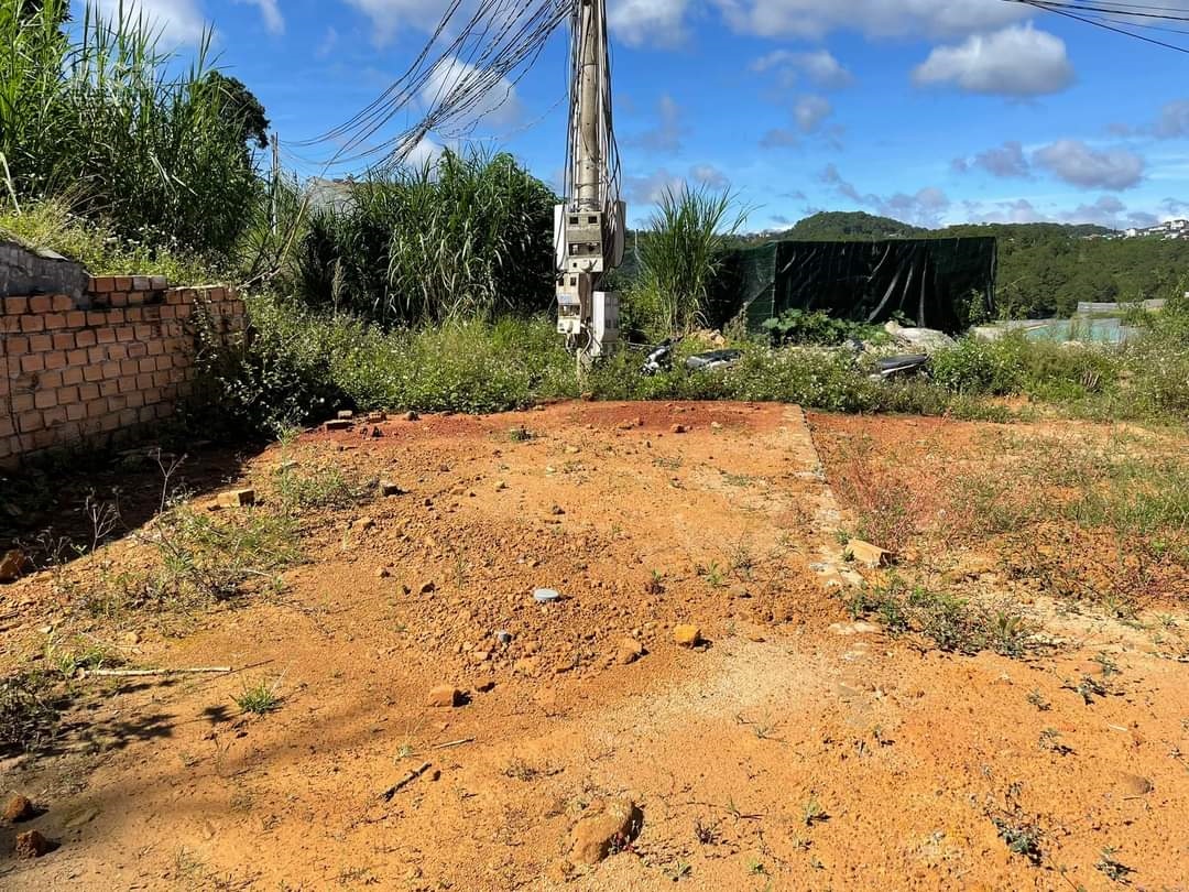 Cần bán gấp đất NN giá rẻ đường Trần Thái Tông, Đà Lạt giá 650 triệu