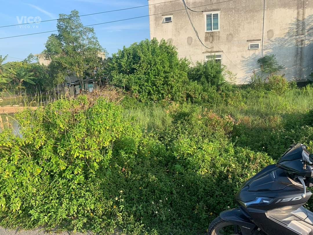 chuyển nhượng lô đất mặt dường Tân Hợp Tân Thành hòa nghĩa Dương Kinh. 1,1 tỷ