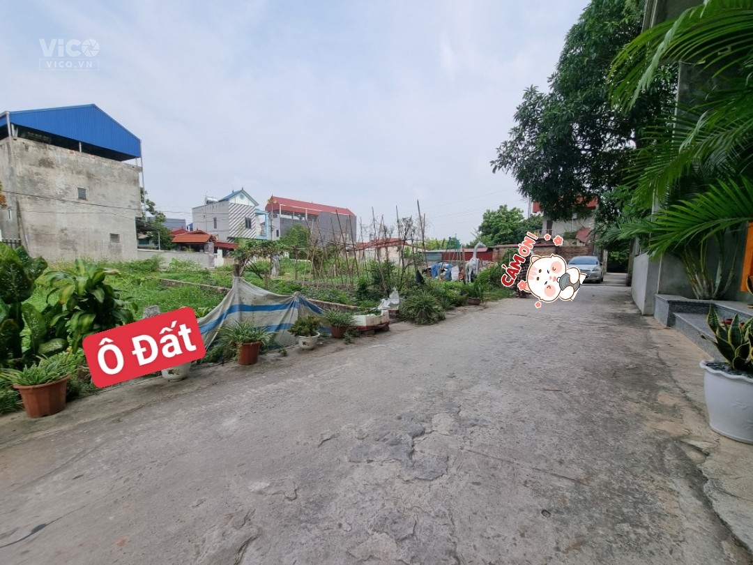 Chủ đất cần tiền bán gấp lô đất tại Đông Lai Quang Tiến Sóc SƠn