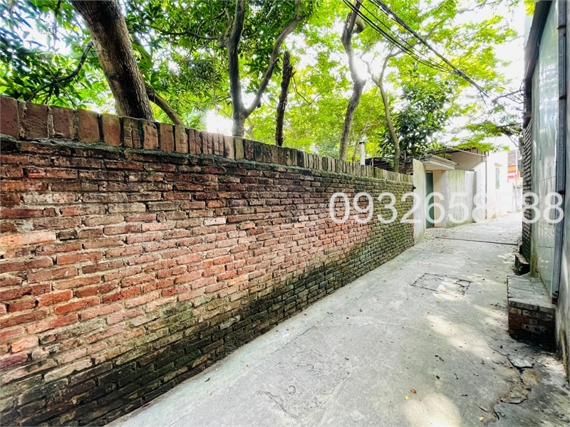 ĐẤT NGỌC LÔI, DỤC TÚ, NGÕ THÔNG, QUY HOẠCH ỔN ĐỊNH, PHÂN ĐƯỢC 2 LÔ, 40m RA BÌA LÀNG