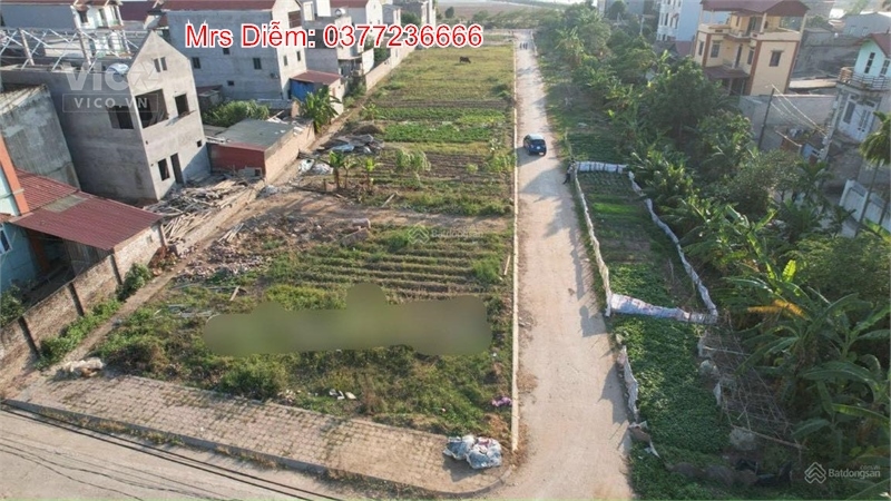 Bán 92.5m đất đấu giá tại Tân Châu, Chu Phan, Mê Linh. Giá tầm 2 tỷ