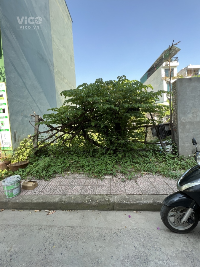 Bán đất mặt tiền 5,5m Đàm Quang Trung Long Biên ô tô tránh 71m2