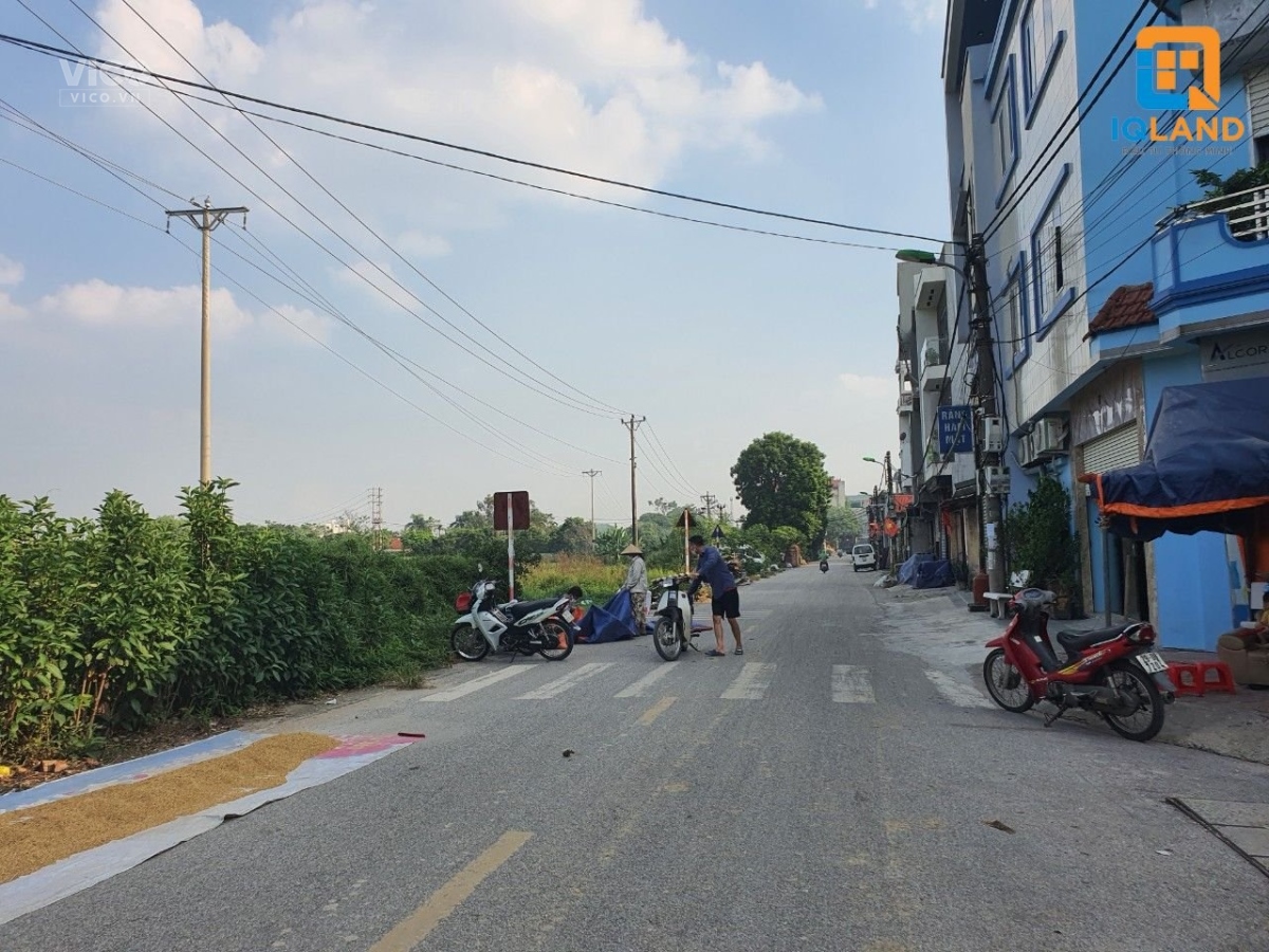 BÁN NHANH 60M TRỤC CHÍNH XUÂN CANH ĐƯỜNG TRẢI NHỰA GIÁ ĐẸP