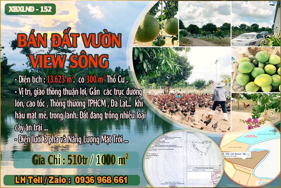 Cần Bán Đất Vườn, đất nghỉ dưỡng View Suối Xuân Lộc Đồng Nai Giá Chỉ 570tr/1000 m
