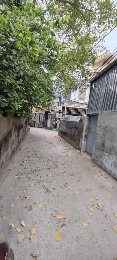 Bán Nhà Phố Trường Lâm 51m Nhà C4 MT 7.6m Giá Bất Ngờ 3.xx Tỷ Fadil Đỗ Cửa 3 Bước Ra Oto