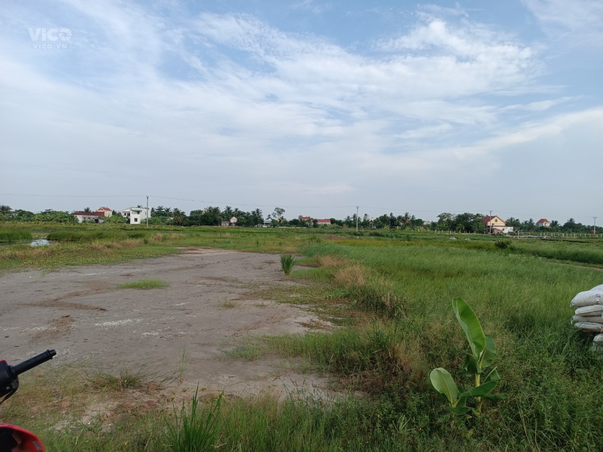 mở bán lô đất Lão Phong Tân Phong Kiến Thụy làm nhà vườn