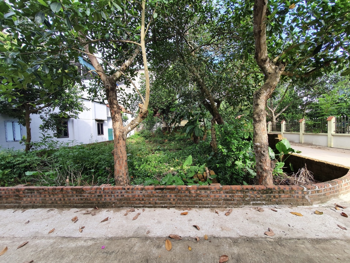 Bán đất sát Khu Công nghệ cao hoà lạc 72m2 5m full thổ cư tiền ô tô qua 1.35 tỷ