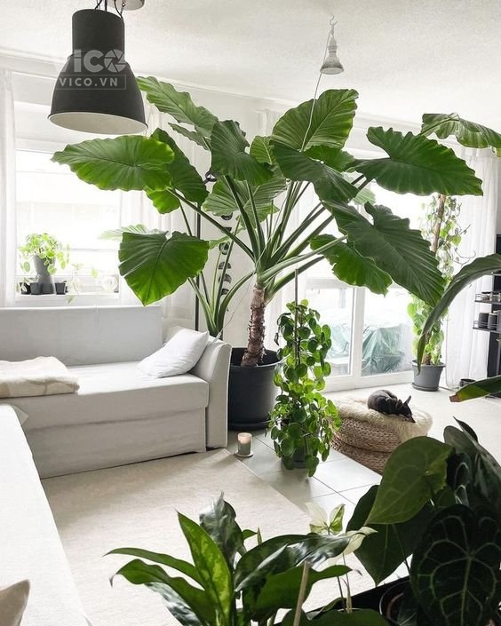 Hiếm, lô góc, phân lô ô bàn cờ, kinh doanh đỉnh, 58m2 đất mt 5m chỉ 9.8 tỷ.