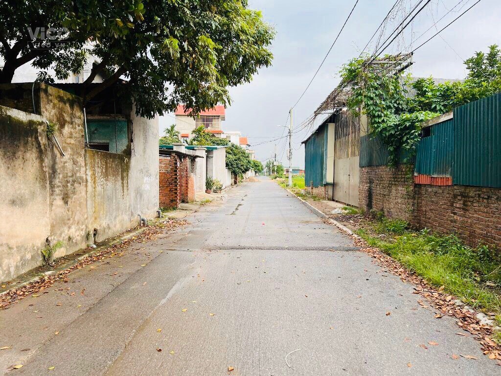 Bán Xa lỗ Mảnh Đất Đấu Giá Thôn Sen Hồ Xã Lệ Chi Gia Lâm Hà Nội