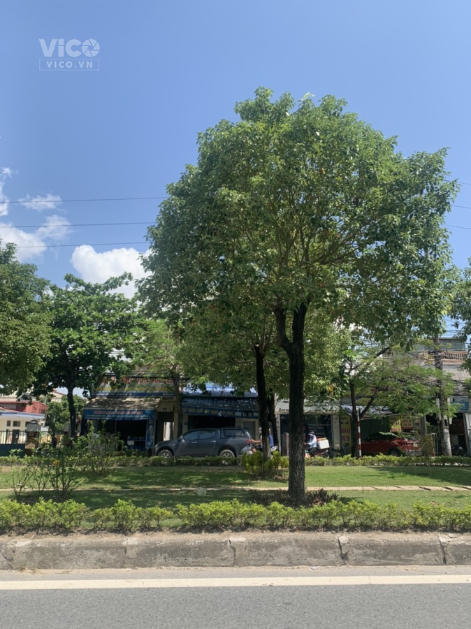 Nhà 3 tầng 162m2 mặt đường Phạm Văn Đồng, Hải Thành 1 , Dương Kinh , Hải Phòng