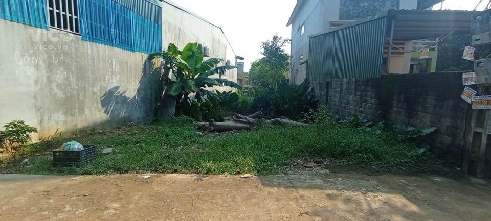 Bán 96m2 Đất Chính Chủ mặt đường chính tại Liên Trung, Đan Phượng, Hà Nội.