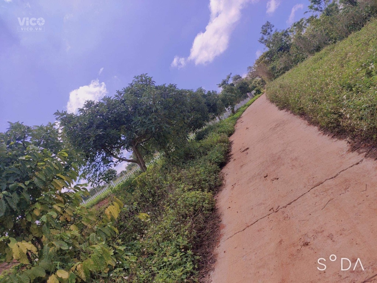 Sở Hữu Ngay Lô Đất Đẹp Tại TT Xã Nam Hà, Huyện Lâm Hà, Lâm Đồng