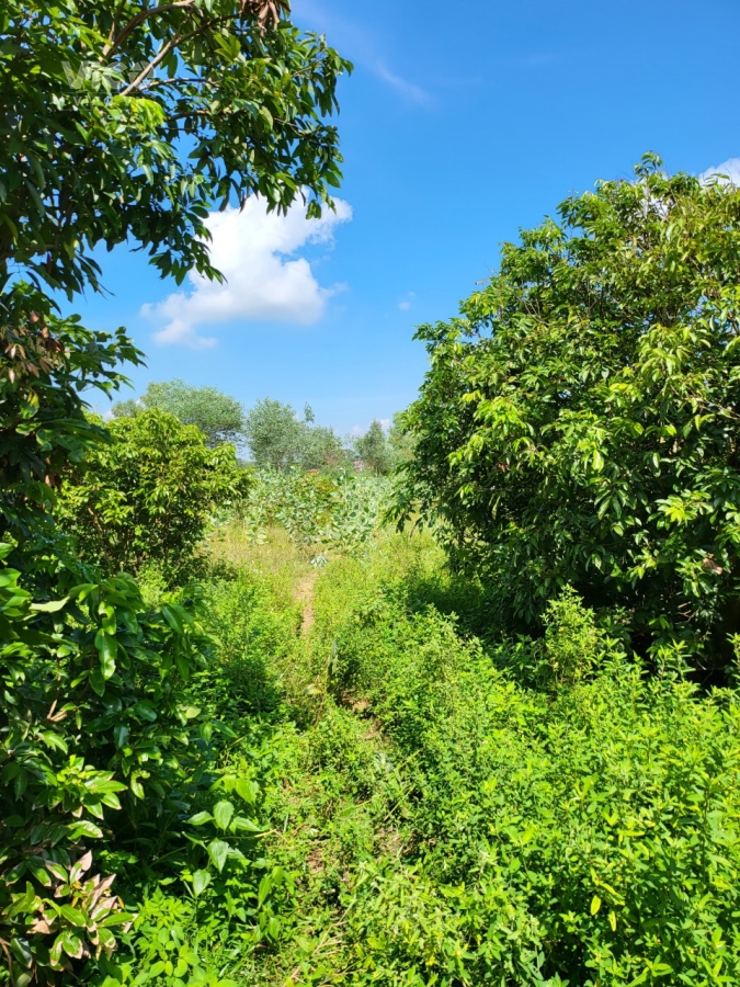 Bán 1180m2 đất nghỉ dưỡng vip, 400m2 đất ở, ô tô tránh, gần hồ Ban Tiện, sân Golf Hanoi club