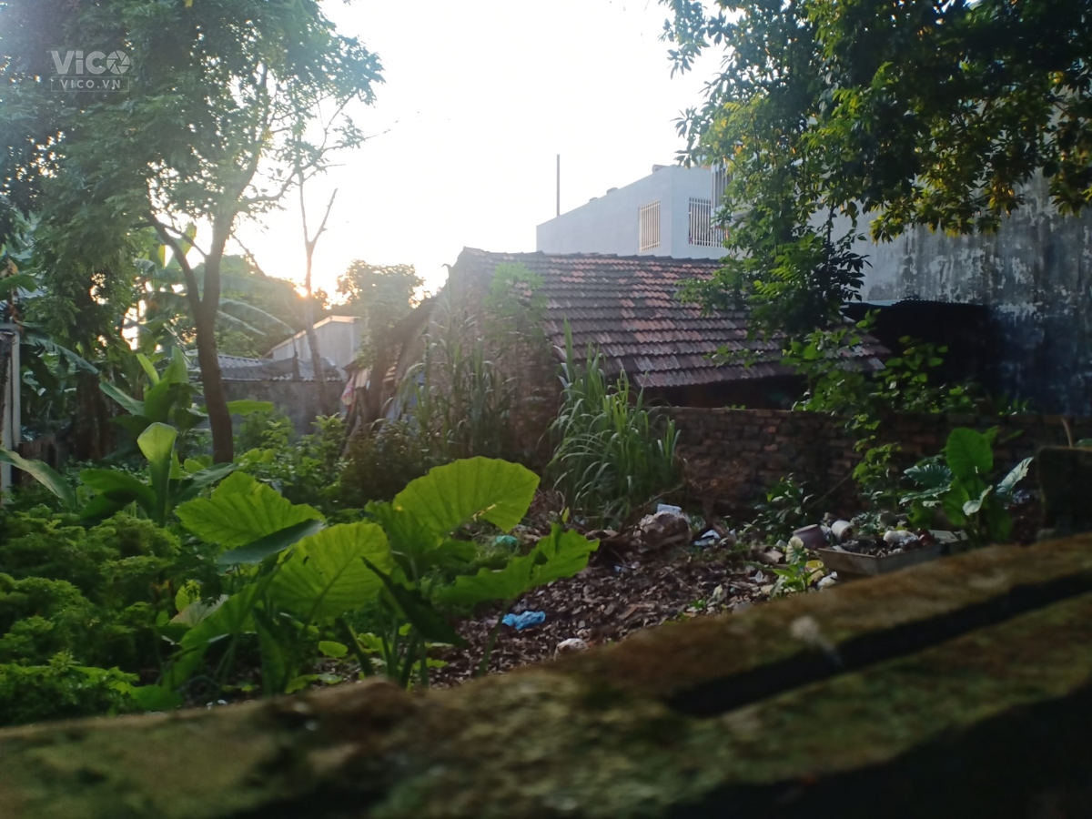 Bán đất Du Nội, 155m2, 6.1m, 7.9 tỷ, Đông Anh, mặt phố.