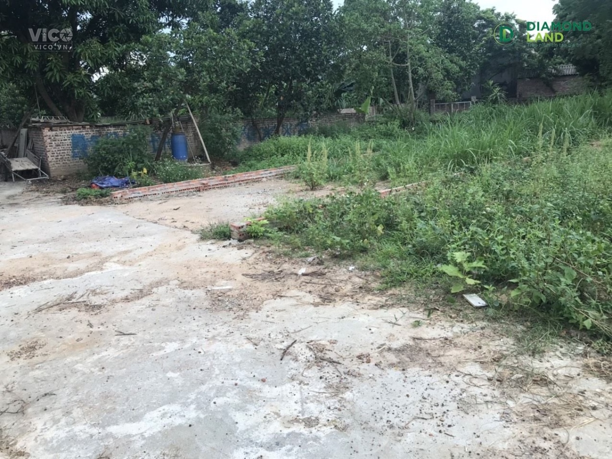 chính chủ bán nhanh 208,6m2 tại vụ bản minh trí sóc sơn , đường oto đỗ đất , ngõ thông . giá