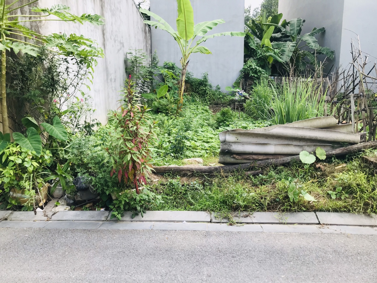 Bán cắt lỗ 55m Tổ 11TTĐA đường trải nhựa thông thoáng