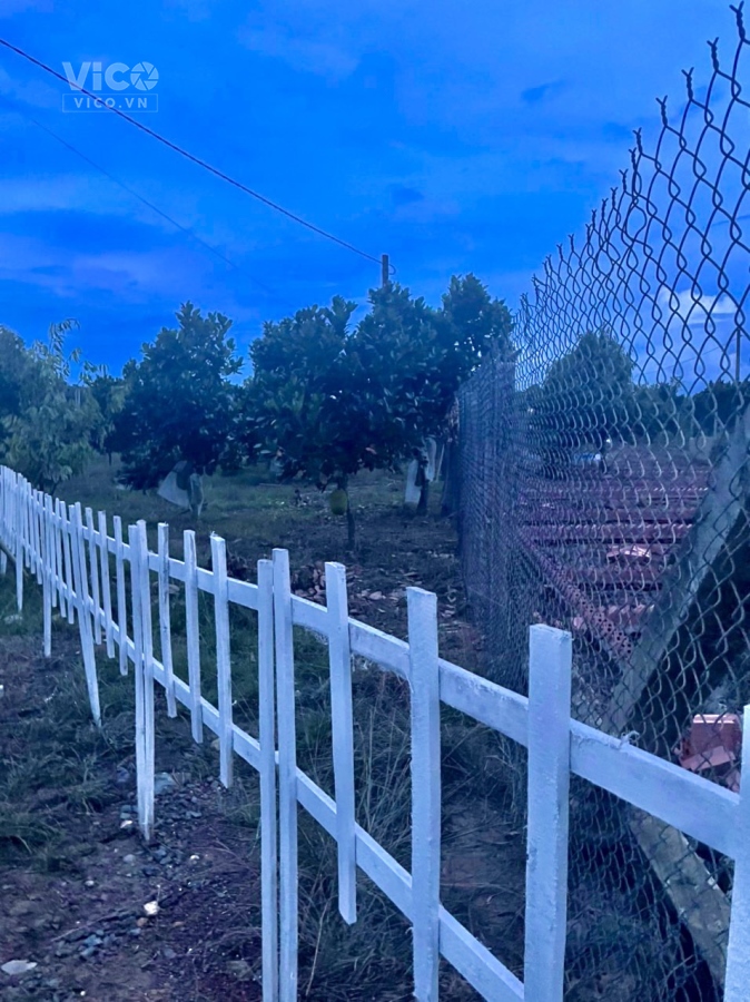 VƯỜN HỒ TRỊ AN LA NGÀ ĐỊNH QUÁN ĐỒNG NAI