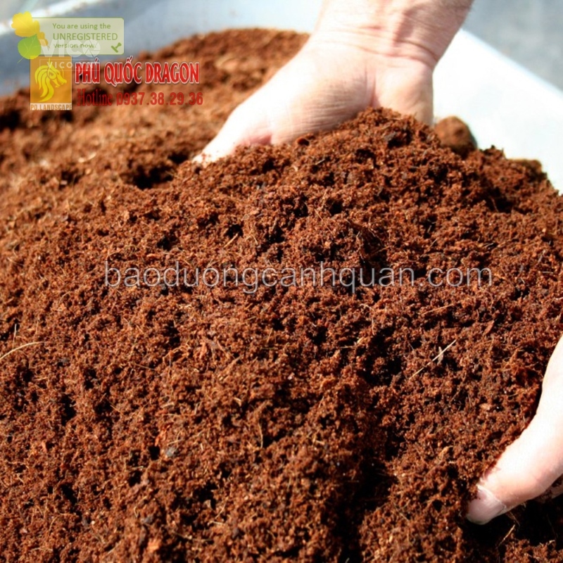 Đất màu trồng cây, đất phù sa ở Đồng Nai, HCM