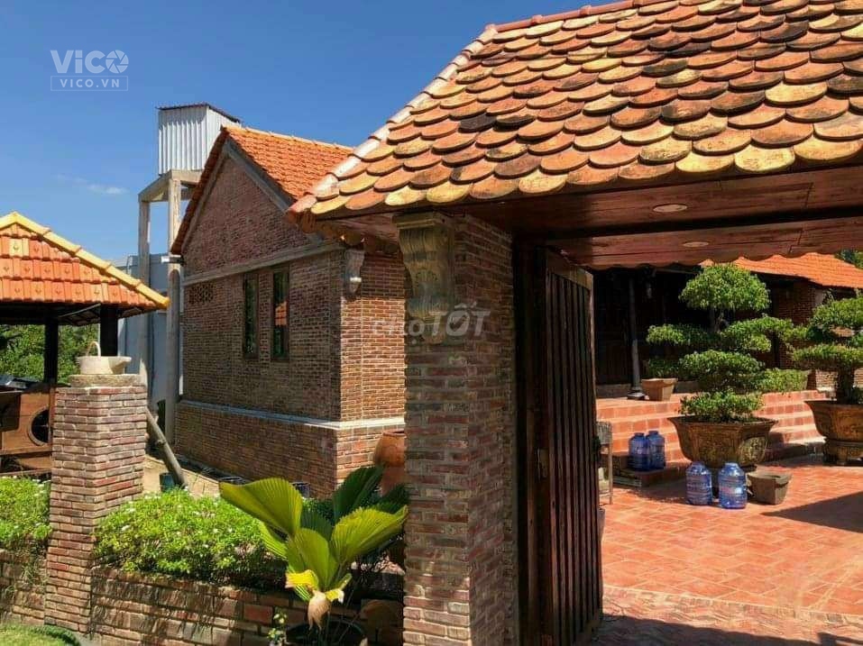 Cần bán nhà cổ thuộc cồn Tam Hiệp, Bình Đại, Bến Tre. nơi tập trung nhiều điểm du lịch lý tưởng