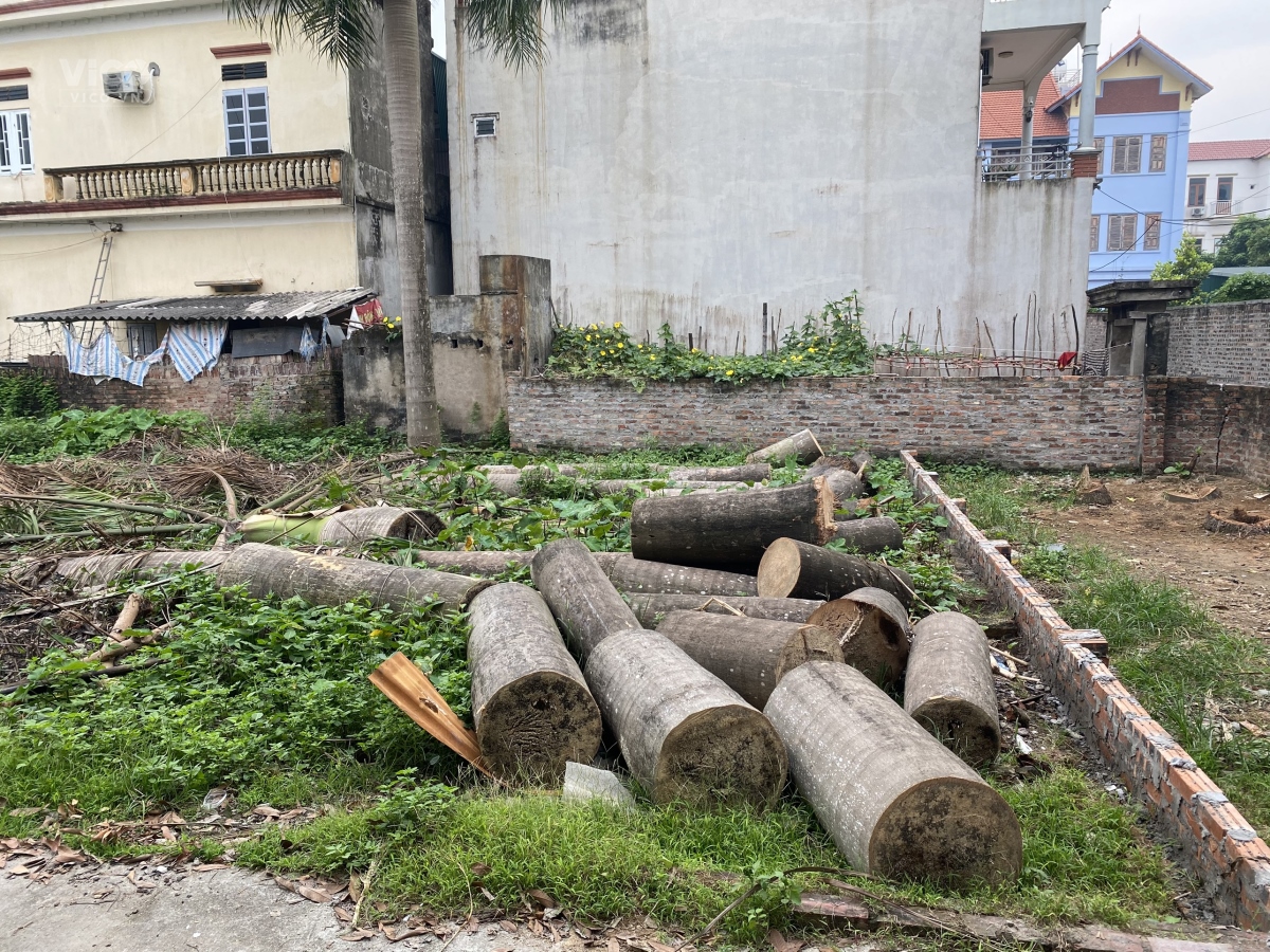 (Hàng Đẹp) bán gấp 60m đất thổ cư thôn Bến Trung, xã Bắc Hồng, huyện Đông Anh, Hà Nội.