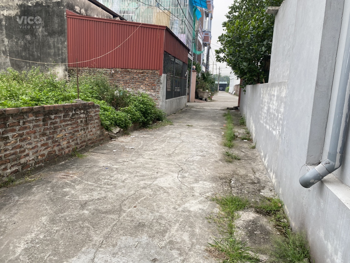 (Hàng Đẹp) bán gấp 60m đất thổ cư thôn Bến Trung, xã Bắc Hồng, huyện Đông Anh, Hà Nội.