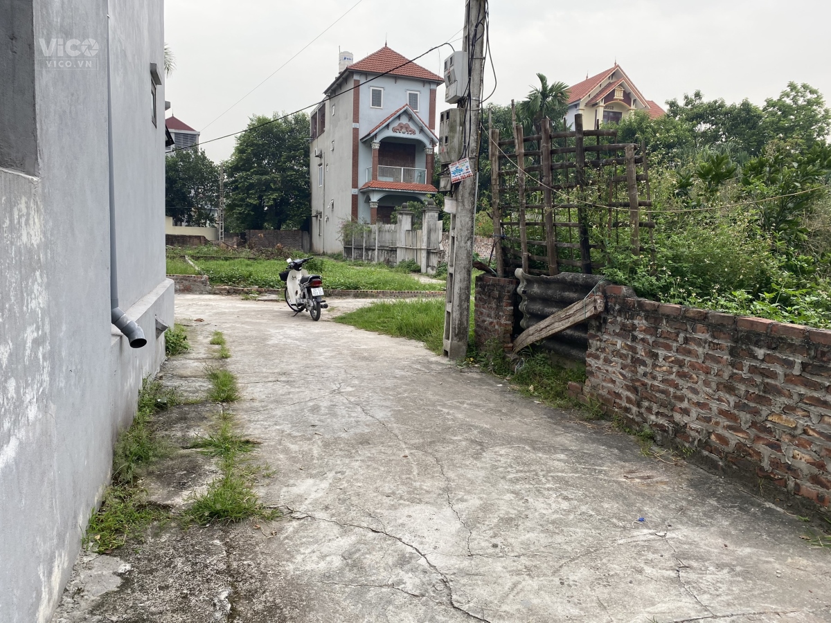 (Hàng Đẹp) bán gấp 60m đất thổ cư thôn Bến Trung, xã Bắc Hồng, huyện Đông Anh, Hà Nội.